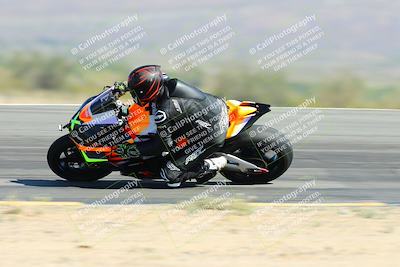 media/Apr-14-2024-SoCal Trackdays (Sun) [[70f97d3d4f]]/3-Turn 12 Speed Pans (945am)/